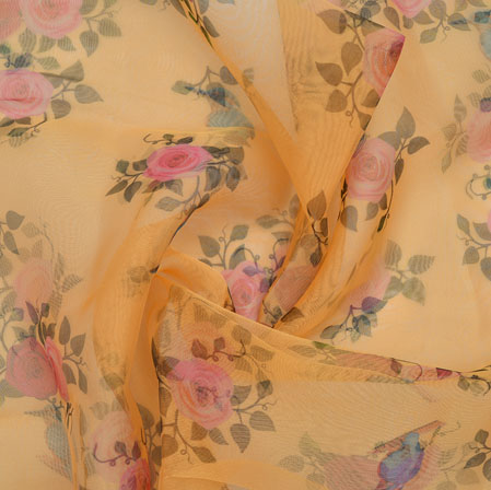 Image Alternative text